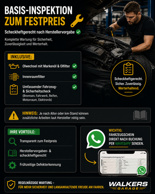 Basis Inspektion – Festpreis !