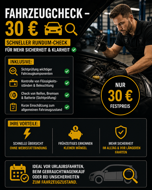 Fahrzeug Check